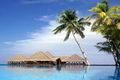 Туры и Отдых на Мальдивы - цены - отели - путевки - горящие туры - vip